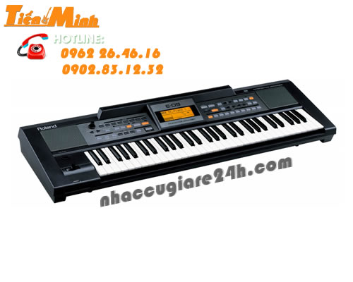 Đàn Organ Roland E-09